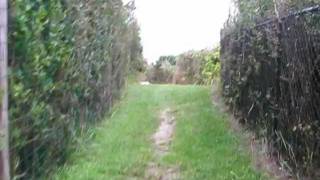 Walking to Beach