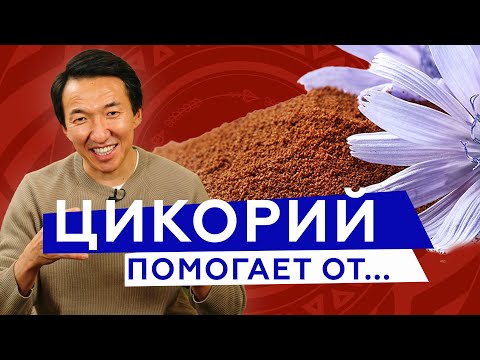 Цикорий - чудо-продукт, который тебя сильно удивит // #чжудши #тибетскаямедицина #тибет