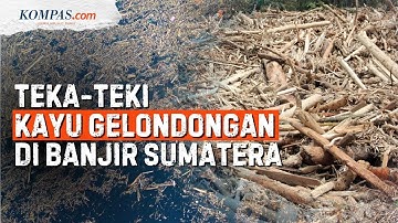 Misteri Kayu-kayu Gelondongan yang Disapu Banjir Sumatera, Milik Siapa?