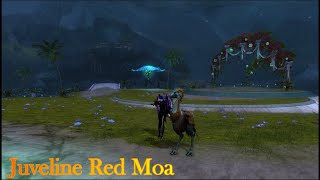 Gw2 2020 Juveline Red Moa