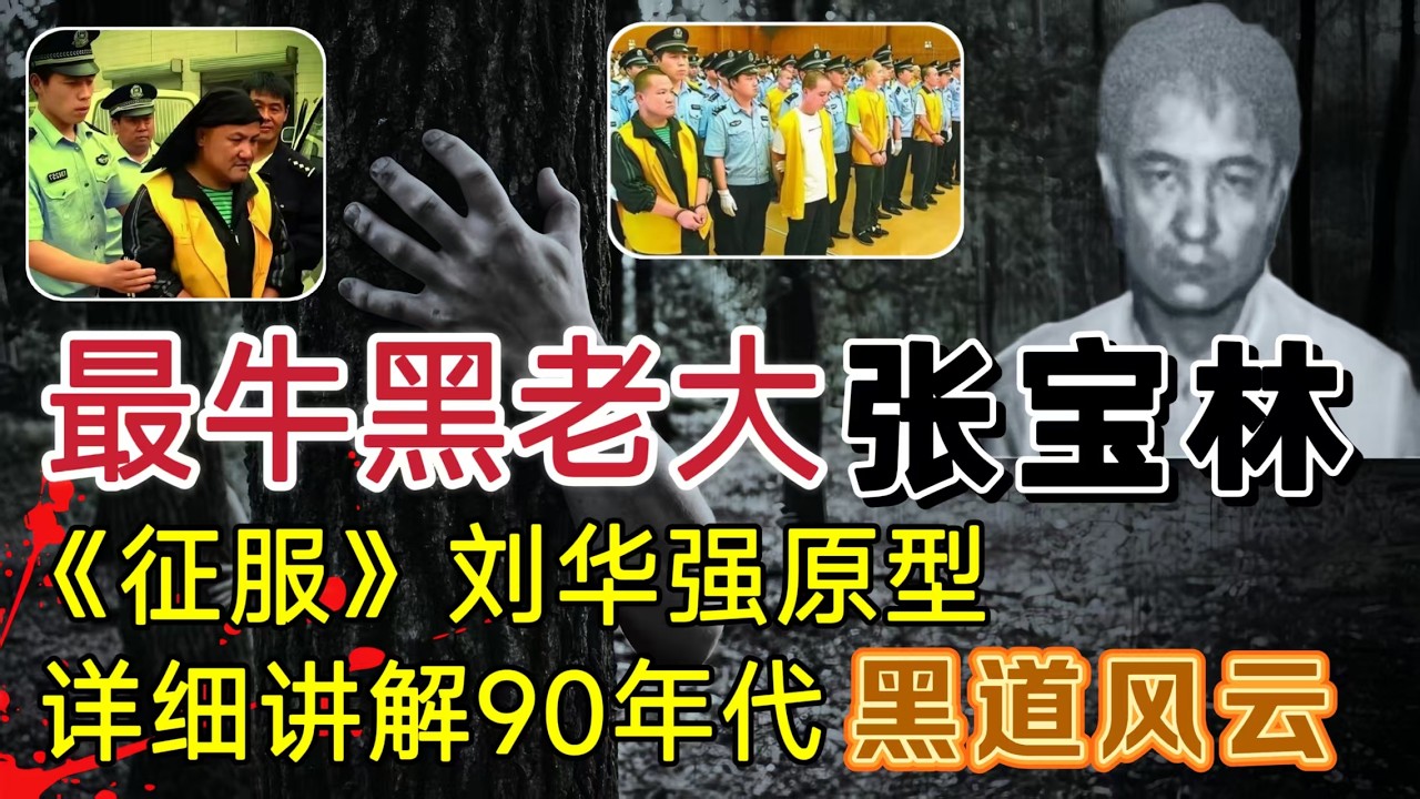 石家庄头号老大张宝林，《征服》刘华强原型，曾一人灭了石家庄所有黑帮大哥#案件調查 #大案紀實 #奇闻大案故事会