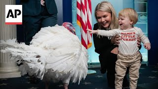Turkey Appears In White House Briefing Room Ahead Of Pardon Ceremony