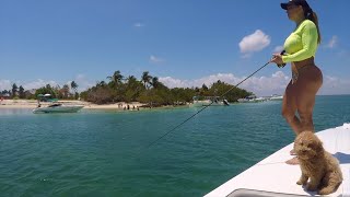 Amazing Fun Day fishing with Family in Miami tbt