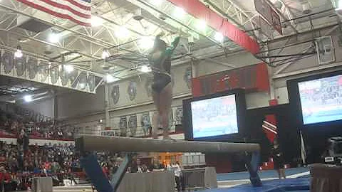 2014 IHSA state meet event championship routines