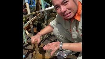 CỘT LỌC BẰNG COMPOSITE - CÓ NÊN ĐẦU TƯ???