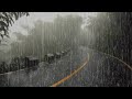 Lluvia relajante para dormir y relajarse en 5 minutos  sonido de lluvia en el selva tropical  asmr