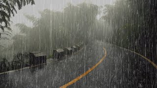 Lluvia Relajante Para Dormir y Relajarse en 5 Minutos - Sonido de Lluvia en el Selva Tropical - ASMR