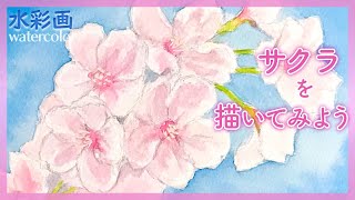 【透明水彩で描く季節の花】桜の描き方