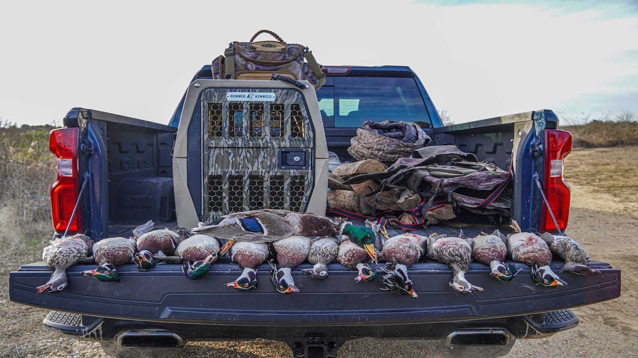 Wood Duck Limits in Alabama; Unexpected Honey Hole found on Public Land. YouTube