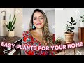 Indoor House Plants Tour 2020 🌿 BEST HOUSE PLANTS | Beginners Plant Care | Naturally Negeen
