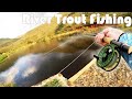 Fly Fishing In Beautiful Mountain Rivers For Wild Trout