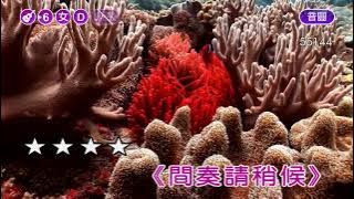 春夢情已斷~葉啟田~女D調~伴奏~導唱丙