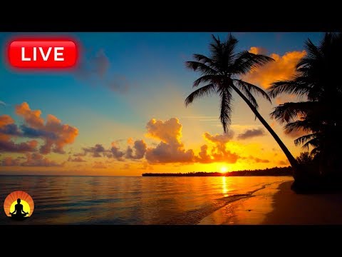 🔴 Relaxing Sleep Music 24/7: Music to Help You Fall Asleep
