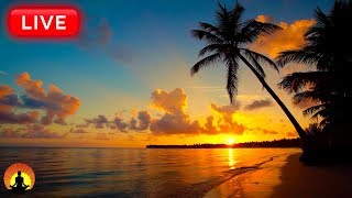 🔴 Relaxing Sleep Music 24/7: Music to Help You Fall Asleep