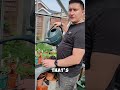 dad explains British green house to his teenager