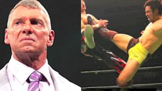 Reasons Why Japanese Wrestling Is Awesome