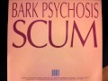 Bark psychosis  scum
