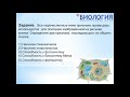 Подготовка к внутривузовскому тестированию по Биологии