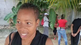 Saving Hawksbill Turtles in Jamaica #ecotourism