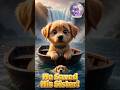 Brave Puppy Saves His Sister from the Waterfall 🐶💔#cutestorys#emotionalstory#cutepuppy#viralshorts