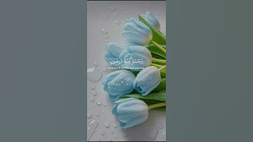 سورة التوبة  المنشاوي #القرآن_الكريم #قرآن
