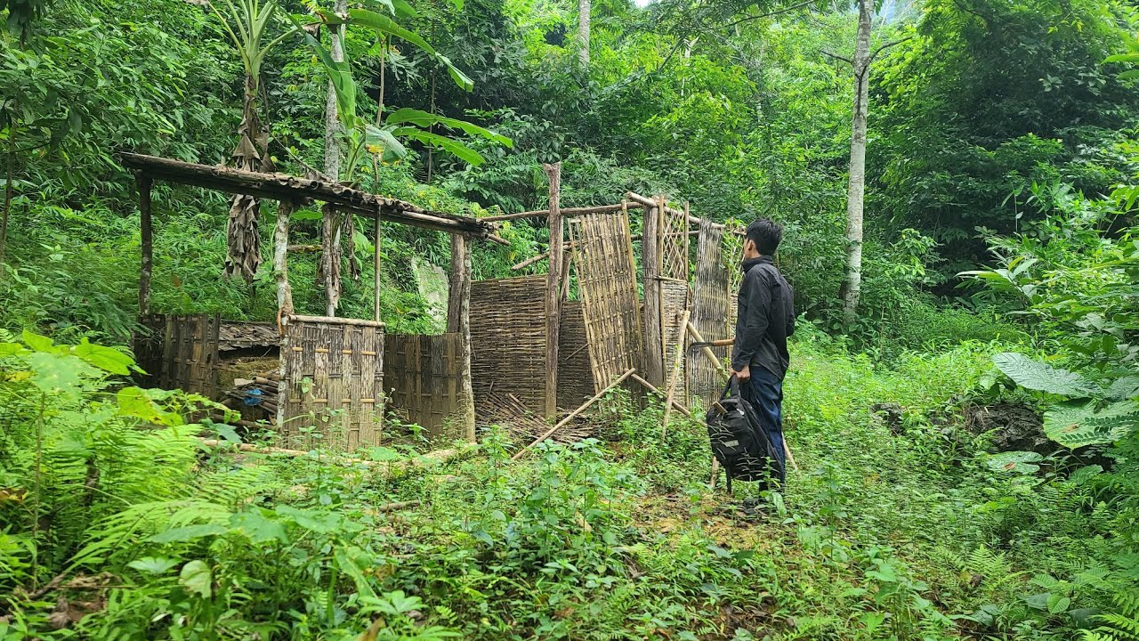 Renovating an abandoned house from 7 years ago in 12 days and nights.