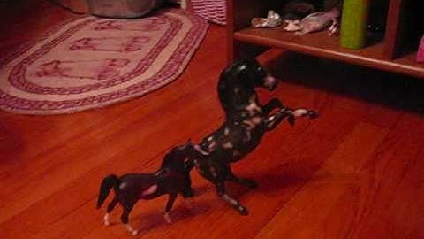 MY FIRST BREYER CUSTOMS!