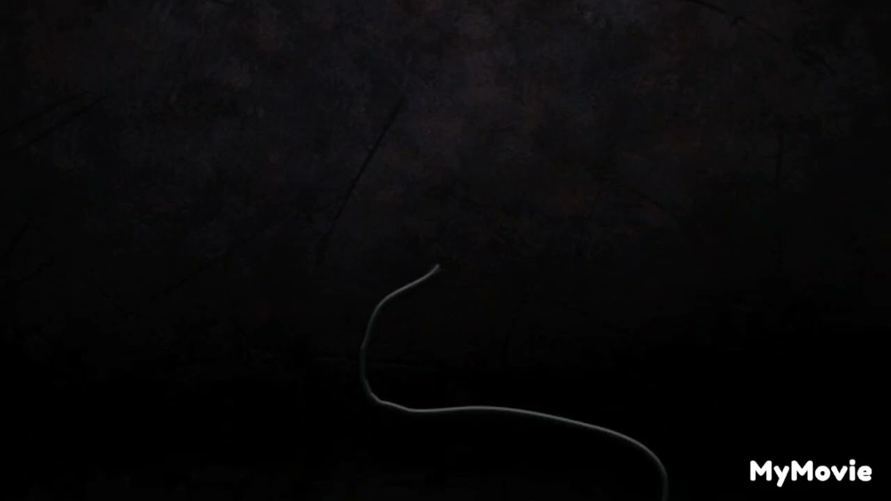 crazy Pumkle is back 🤣😂#3