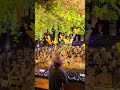 ARGY at Café Del Mar Phuket