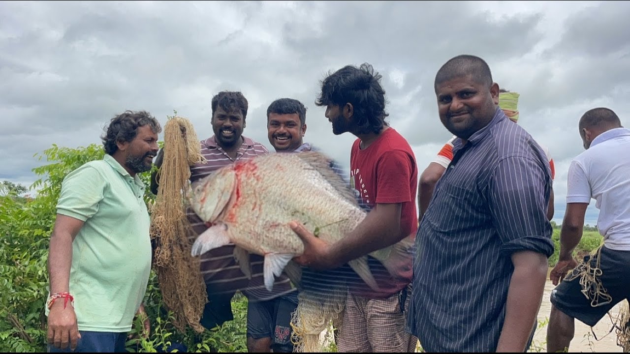 ఒక్కొక్క బొచ్చే 15kg లుంది చేపల జాతర నడుస్తుంది మామ bros Greatest Catla Fishing Video