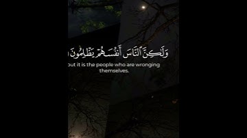 قران كريم اجر لي ولكم / رمضان /