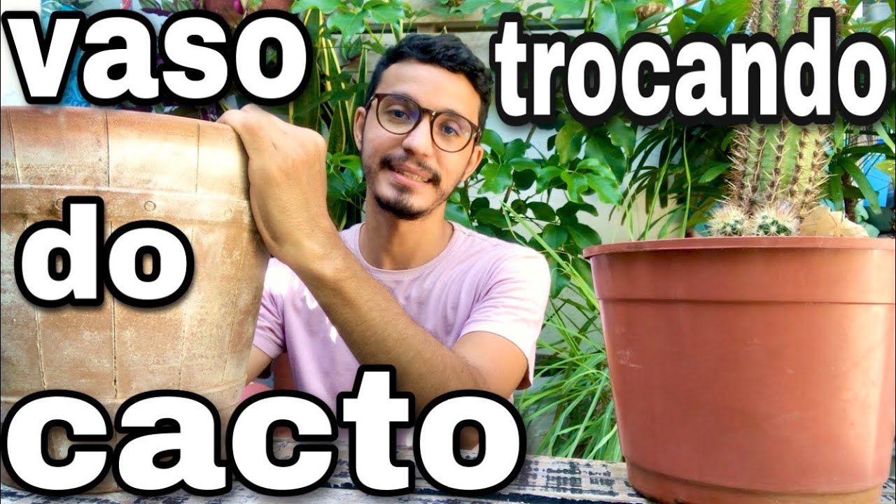 🌵 VASO ideal para CACTO