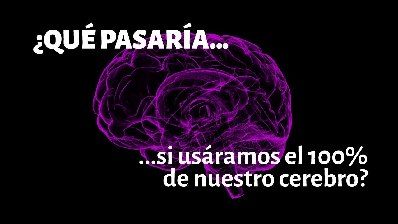 Que Pasaria Si Usaramos El 100 De Nuestro Cerebro