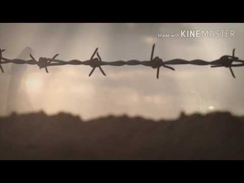 اسم الاغنيه من الشوق دوبني 80