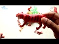 Lot of Wild Animals Toys - เรียนรู้เรื่องสัตว์ป่า - Anak Baik -
