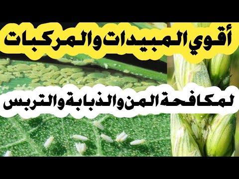 أقوي المبيدات والمركبات لمكافحة المن والذبابة والتربس