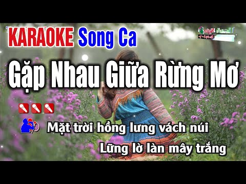 Gặp Nhau Giữa Rừng Mơ ❤️ TM