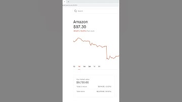 Moet u AMAZON-aandelen kopen?