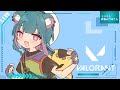 #valorant 　コンペ配信