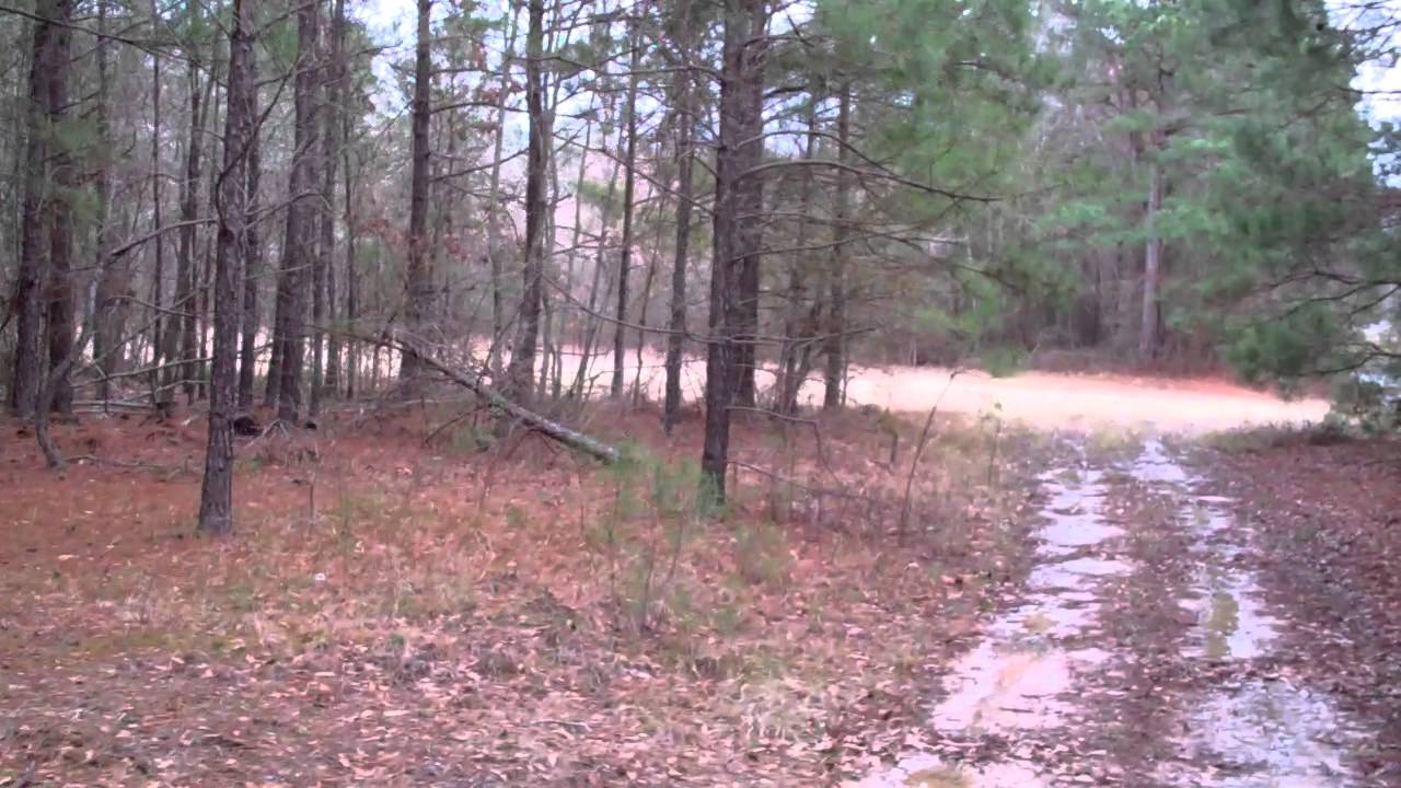 147.5 ac Ouachita Parish, LA Hunting & Home Site Land for Sale in