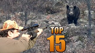 Top 15 Giant Wild Boar Hunts - En İyi̇ Azili Domuz Vuruşlari