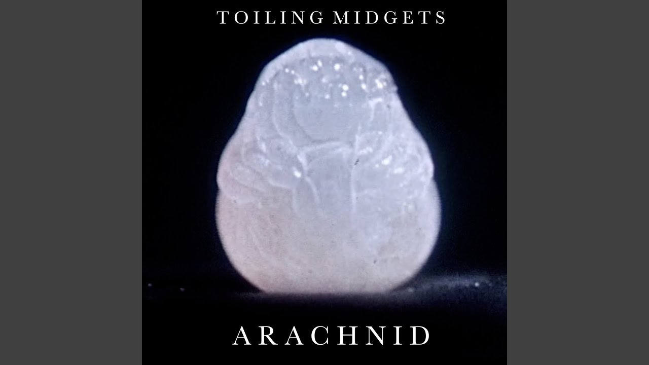 Watch Arachnid on YouTube Watch Arachnid on YouTube