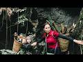 Let's go into the jungle together to pick these precious herbs from the rainforest.