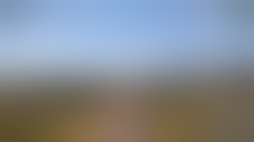 Rust! Devblog 105. Headshots )