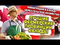 ИММИГРАЦИЯ В КАНАДУ ЧЕРЕЗ СЕЛЬСКОЕ ХОЗЯЙСТВО // ЛУЧШИЕ ФЕРМЕРСКИЕ ПРОВИНЦИИ КАНАДЫ