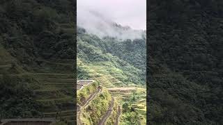 IMG 5832
