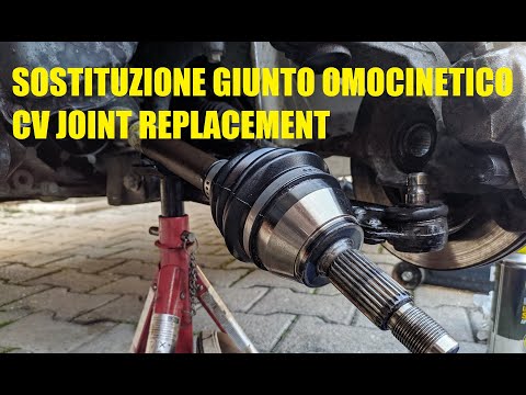 Sostituzione giunto omocinetico - Ford Fiesta 1.4i 16v (2002-2008)