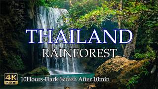 Secret Forest Oasis  Heavy Waterfall Sounds for Instant Anxiety Relief