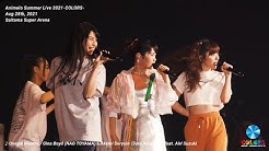 Animelosummerlive Youtube
