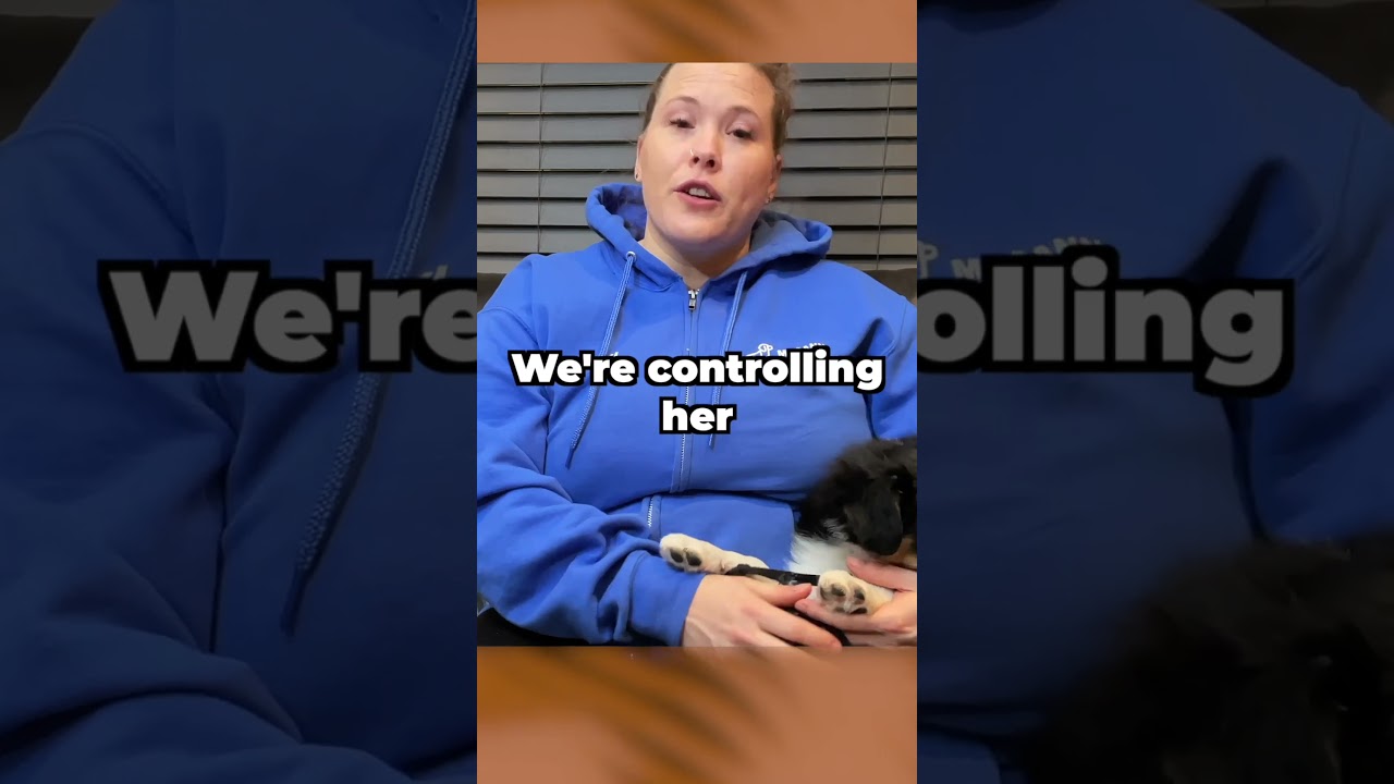 New Puppy Owner Tip – First Day Home